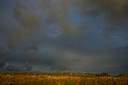 Paysage