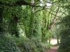 Le chemin vers la vallée