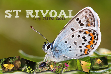 Saint Rivoal, la galerie photo