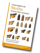 Concise Guide to the Moths of Great Britain and Ireland