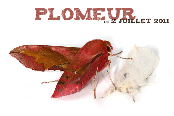 Plomeur