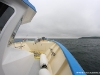 Vedette océanographique Albert Lucas : retour vers Brest